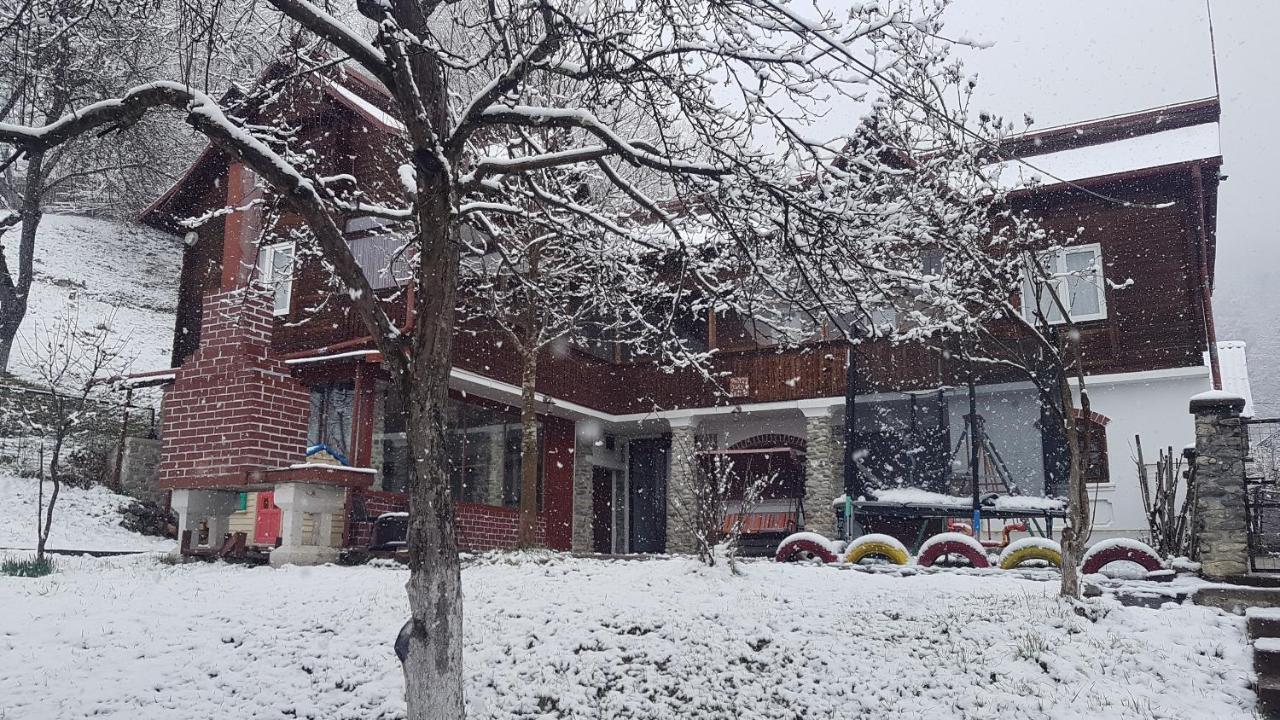 Casa Colt De Rai Villa Brezoi Eksteriør bilde