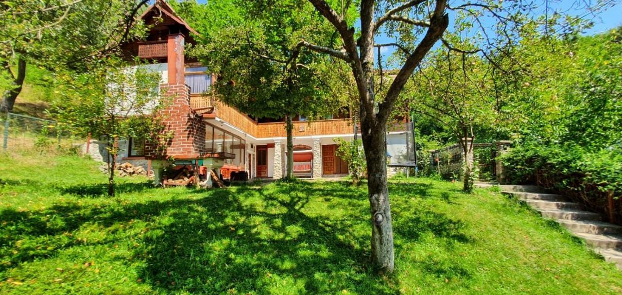 Casa Colt De Rai Villa Brezoi Eksteriør bilde