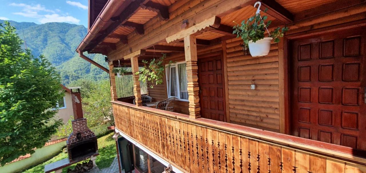 Casa Colt De Rai Villa Brezoi Eksteriør bilde