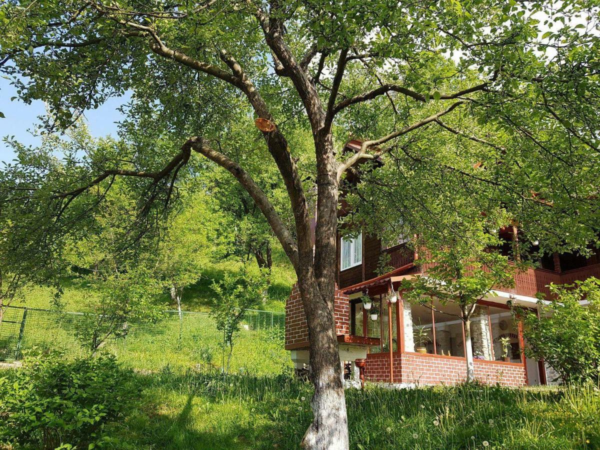 Casa Colt De Rai Villa Brezoi Eksteriør bilde